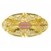 Oval perforated brooch with rose stones, gilded 54x28 mm