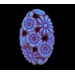 Cabochon oval lapis lazuli 25x18 mm