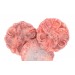 Fleur corail 30 mm