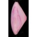 rounded square pointed back rose 2