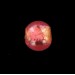 Perle ronde rose sur feuille d'or 8 mm